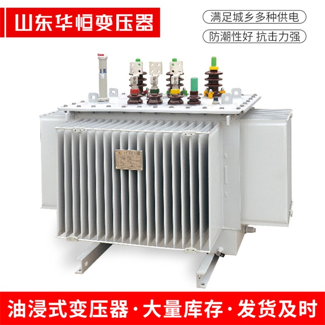 S13-10000/35会理会理会理电力变压器